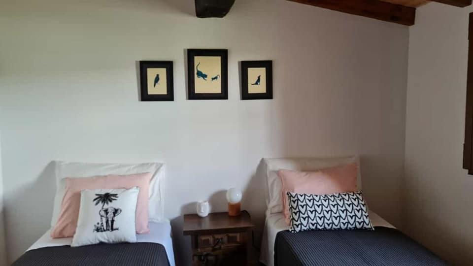 Casa Da Ti Adelia Villa Janeiro de Cima Eksteriør billede